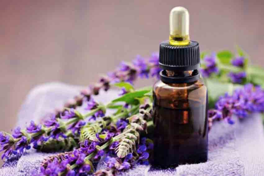 آشنایی با روغن مریم گلی و خواص درمانی آن در طب سنتی