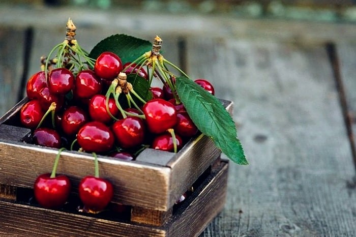 خواص آلبالو