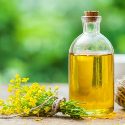 خواص روغن گزنه