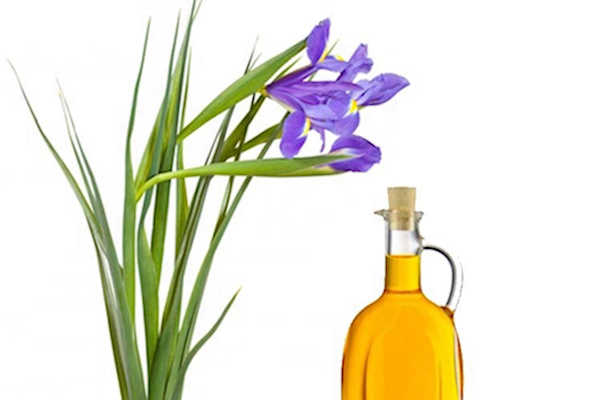  آشنایی با روغن گل زنبق و خواص درمانی آن در طب سنتی