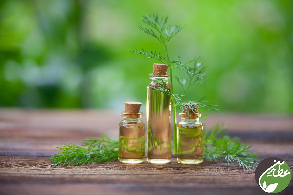 خواص روغن شوید