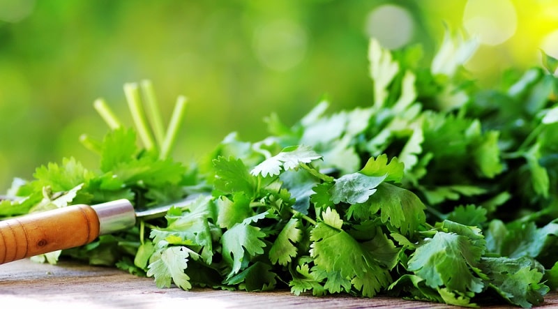 خواص تخم جعفری