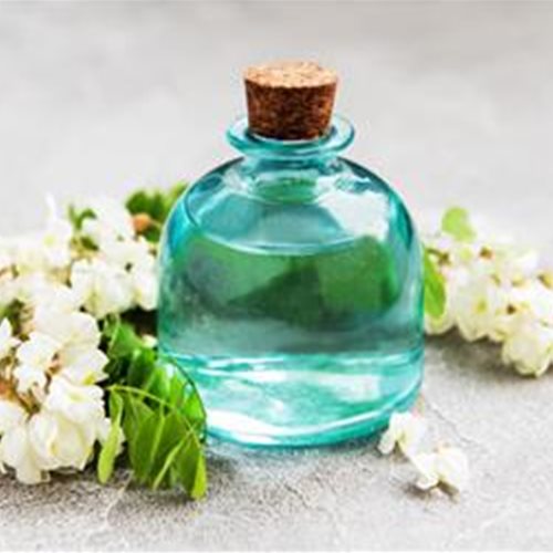  آشنایی با گیاه و روغن اقاقیا و خواص درمانی آن در طب سنتی