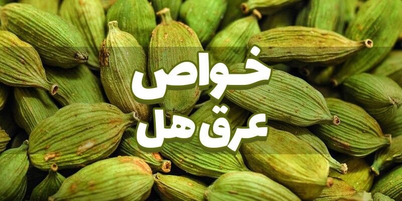  آشنایی با عرق هل و خواص درمانی آن در طب سنتی