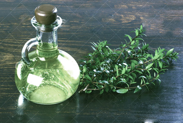 آشنایی با عرق و روغن مورد و خواص درمانی آنها در طب سنتی