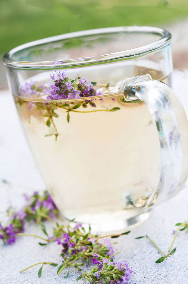  آشنایی با خواص درمانی عرق و روغن کاکوتی در طب سنتی