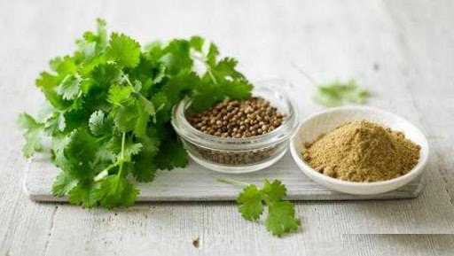  آشنایی با خواص درمانی گشنیز، تخم گشنیز و عرق گشنیز در طب سنتی