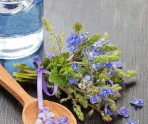 آشنایی با خواص دارویی عرق کاسنی در طب سنتی