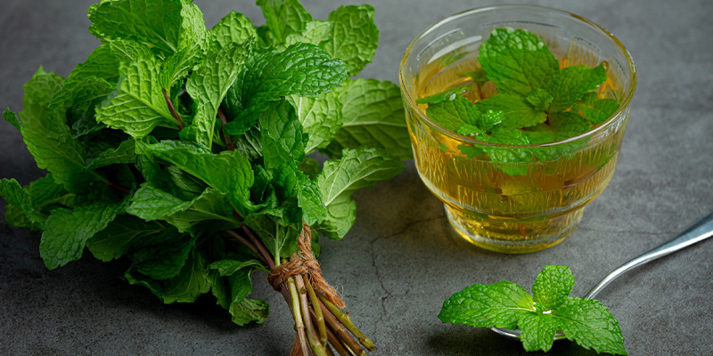 خواص نعناع فلفلی