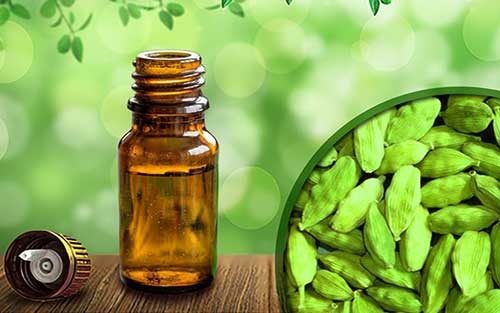  آشنایی با روغن هل و خواص درمانی آن در طب سنتی