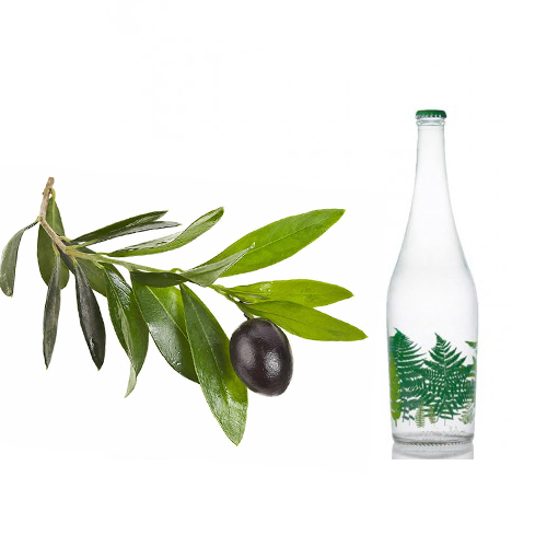  آشنایی با عرق برگ زیتون و خواص درمانی آن در طب سنتی