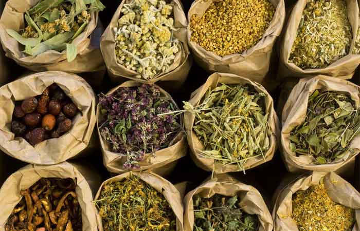 گیاهان قاعده آور