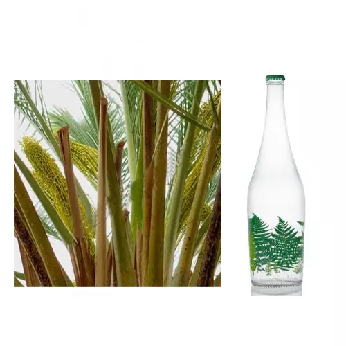  آشنایی با خواص درمانی عرق و روغن طارونه در طب سنتی