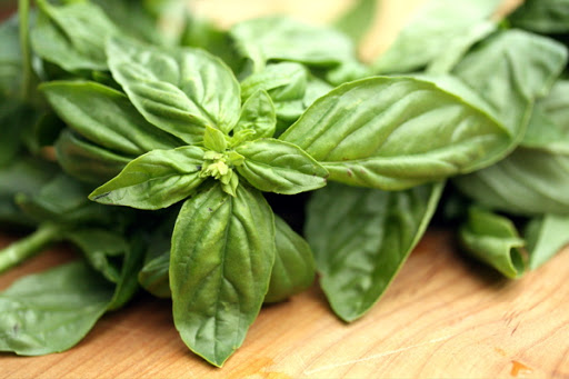 آشنایی با عرق ریحان و خواص درمانی آن در طب سنتی