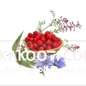 عرق کاسنی شاتره
