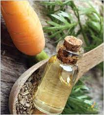  آشنایی با روغن هویج و خواص درمانی آن در طب سنتی