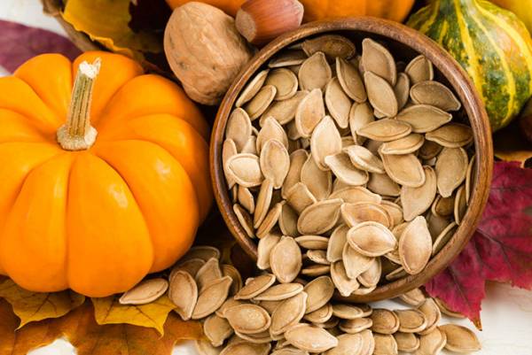 خواص تخم کدو