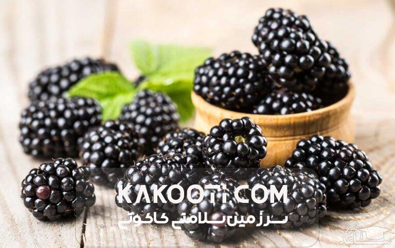 خواص شاه توت