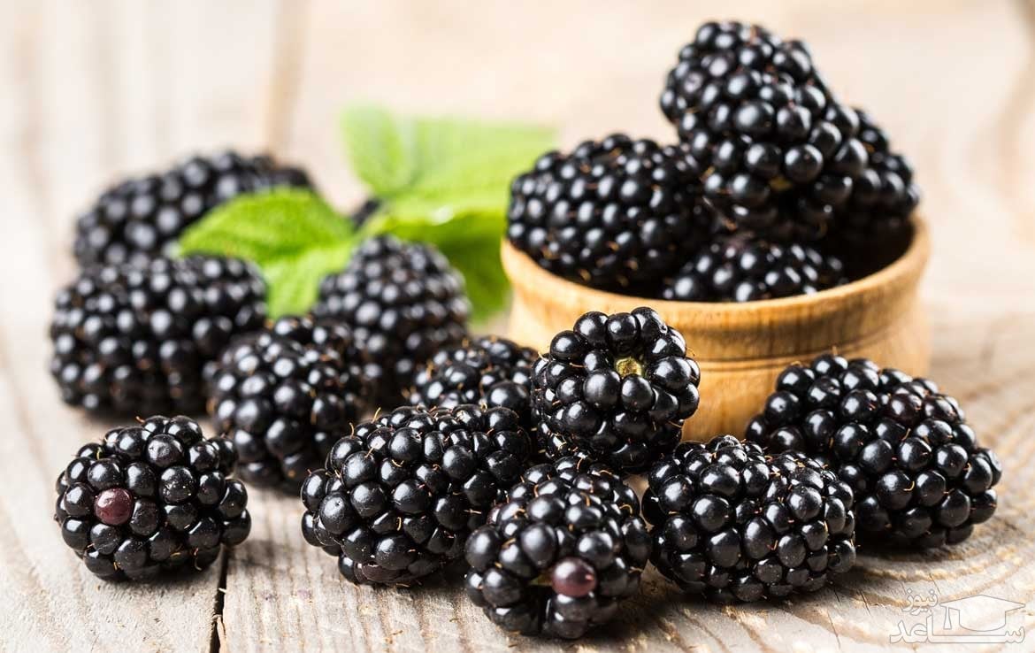 خواص شاه توت