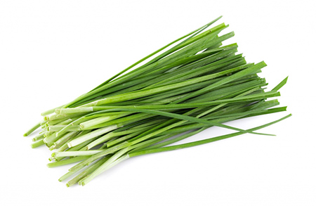  آشنایی با گیاه تره و خواص درمانی آن در طب سنتی