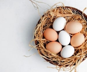 آشنایی با خواص درمانی تخم‌مرغ