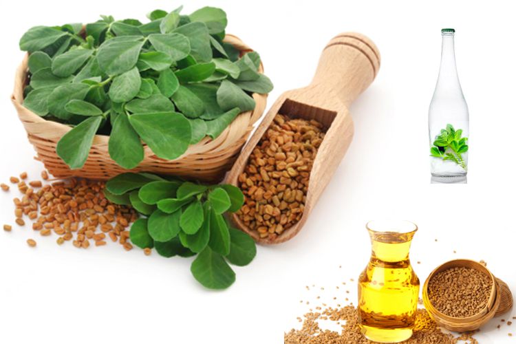 خواص عرق شنبلیله