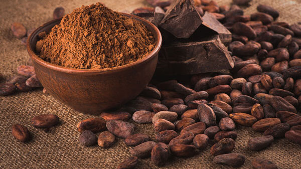 خواص هسته خرما