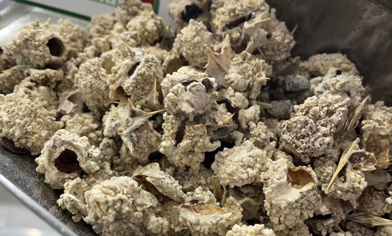 خواص شکر تیغال