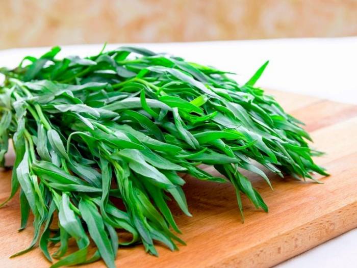  آشنایی با گیاه مرزه و خواص درمانی آن در طب سنتی