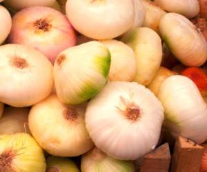  آشنایی با موسیر و خواص درمانی آن در طب سنتی