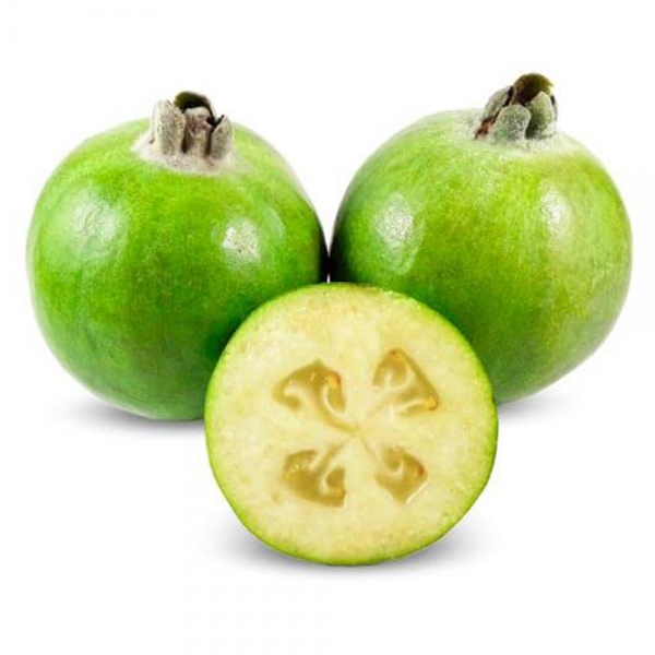  آشنایی با فوجی و خواص درمانی آن در طب سنتی