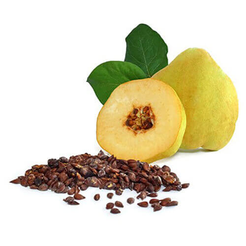  آشنایی با خواص درمانی تخم به در طب سنتی 