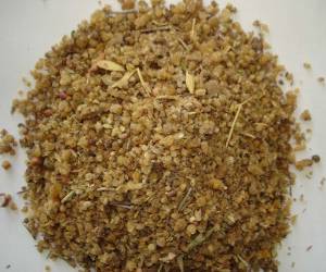  آشنایی با ترنجبین و خواص درمانی آن در طب سنتی